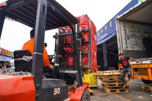 海峽兩岸攜手，滯銷(xiāo)水果變暢銷(xiāo)——物流城倉(cāng)儲(chǔ)服務(wù)助力臺(tái)農(nóng)脫困